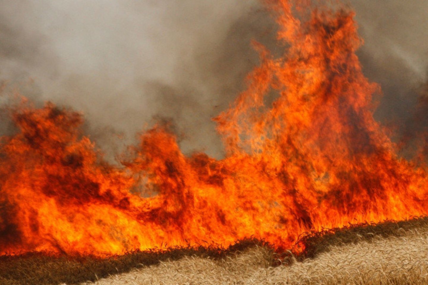  Ugniagesiai perspėja: derlius dega ne tik laukuose.<br> PAGD nuotr.
