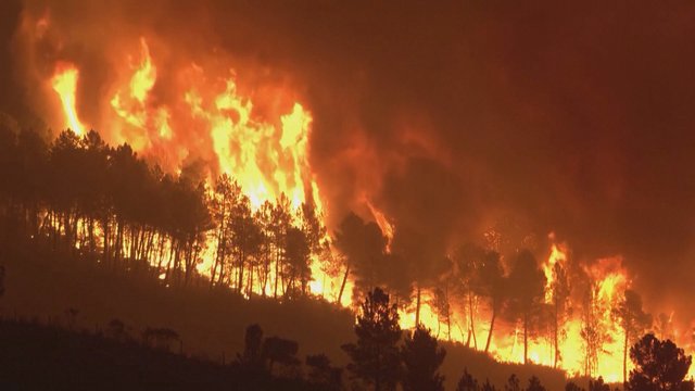 Negailesti gaisrai ir toliau niokoja Portugaliją: išdegė tūkstančiai hektarų žemės ploto