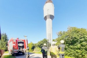 Į pagalbą gandriukui skubėjo Kėdainių ir Jonavos ugniagesiai: paukštis galiausiai nuskrido pats