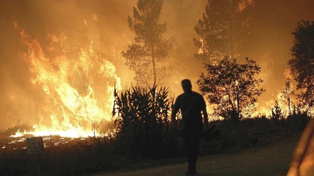Ispanijoje kilęs gaisras tapo nekontroliuojamas: teko evakuoti dar daugiau žmonių