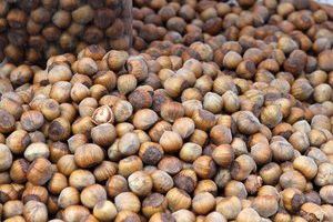 Nuo beverčių krūmamedžių – iki derlingų riešutynų