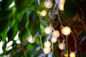 Vyriausybės planus kompensuoti „Perlas Energija“ klientų nuostolius vadina klaida: „Susimetame ir apmokame kažkieno klaidas ar žioplumą“