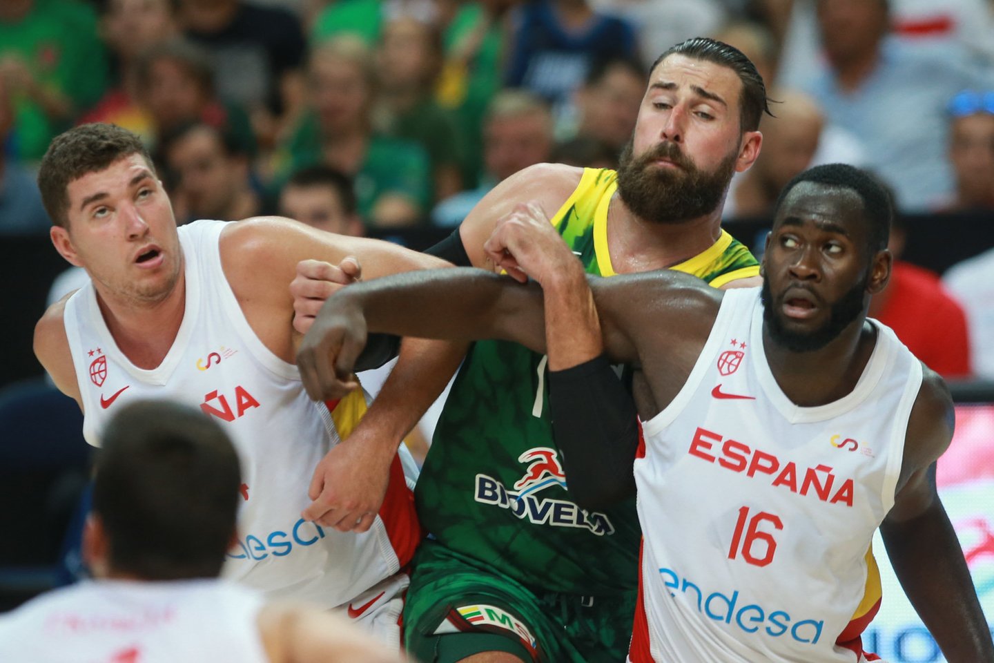 Atnaujintame FIBA Europos čempionato reitinge – Lietuvos rinktinės šuolis aukštyn.<br>R. Danisevičaus nuotr.