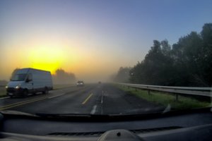 Laukiniai gyvūnai keliuose – ne tik migracijos sezono metu: ekspertai perspėja apie pavojingą tendenciją