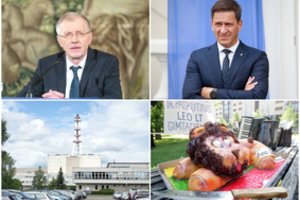 Sutrikęs ministras, institucijų fiasko ir praeities klaidos: kas kalčiausias dėl elektros kainų šoko? 