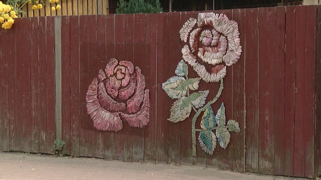 Atgijusi senų namų gatvė Bauskėje: rožėmis padabintos namų sienos pritraukia daugybę smalsuolių