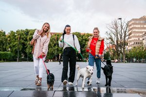 „69 Danguje“ narės, I. Stasiulytė ir kiti žinomi Lietuvos žmonės kviečia prisijungti prie „Penkta Koja“ akcijos „Netelpa“