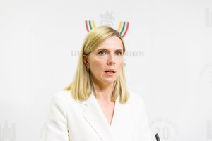 A. Bilotaitė: Lietuvos siena su Rusija dėl grėsmių saugoma sustiprintu režimu