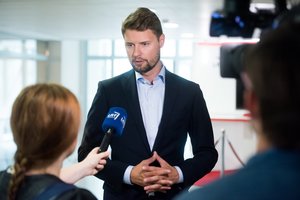 M. Majauskas: vidutiniškai Vyriausybės išvados vėluoja kelis mėnesius, tai stabdo Seimo darbą