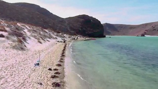 Meksikos gamtosaugininkai sukelti ant kojų: po jachtos gaisro išsiliejusi nafta užteršė populiarųjį paplūdimį