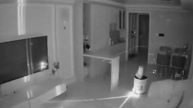 Pamačius katino veiksmą – išgąsčio netrūks: vaizdas primins paranormalius reiškinius