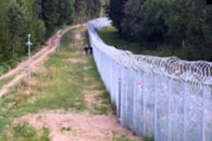 Kaukėtas vyras iš Baltarusijos į Lietuvą įleido 6 afganistaniečius: migrantai pateko pro perkirptą koncertiną ir tvorą