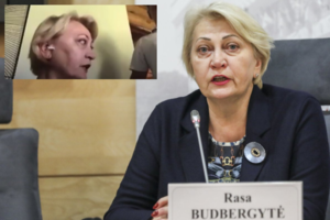Nuotolinio darbo nesėkmės toliau lydi parlamentarus: šįkart į nepatogią situaciją pakliuvo socialdemokratė R. Budbergytė