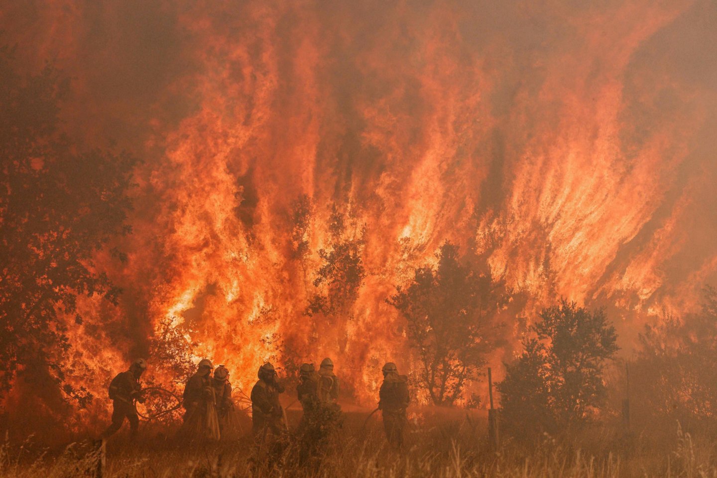 Miško gaisras.<br>AFP/Scanpix asociatyvi nuotr.