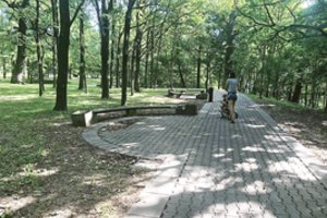 Mažasis ąžuolynas dėmesio dar nesulaukė: savivaldybė tikina, kad rekonstrukcija prasidės jau kitąmet 