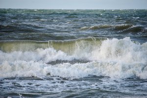 JT derybų dėl biologinės įvairovės apsaugos atviroje jūroje ratas baigėsi be susitarimo