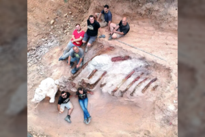 Mokslininkai skelbia aptikę galbūt didžiausio dinozauro Europoje liekanas