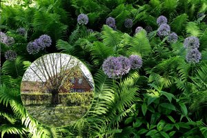 Mingės kaime įsikūrusios Dalios sodyba – verta poeto plunksnos