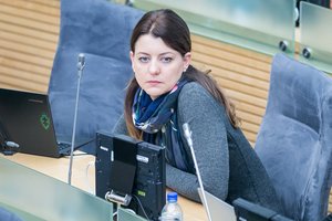 M. Navickienei pabodo verslo gąsdinimai: dėl padidinto MMA dar niekada nefiksavome atleidimų ir bankrotų bangos