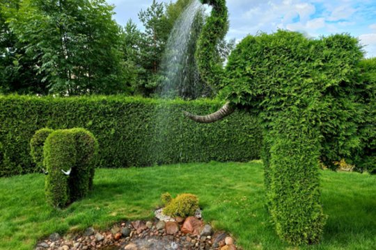 Kauno rajone šeima savo kiemą pavertė gerų emocijų erdve: ar dar kur tokią matėte?