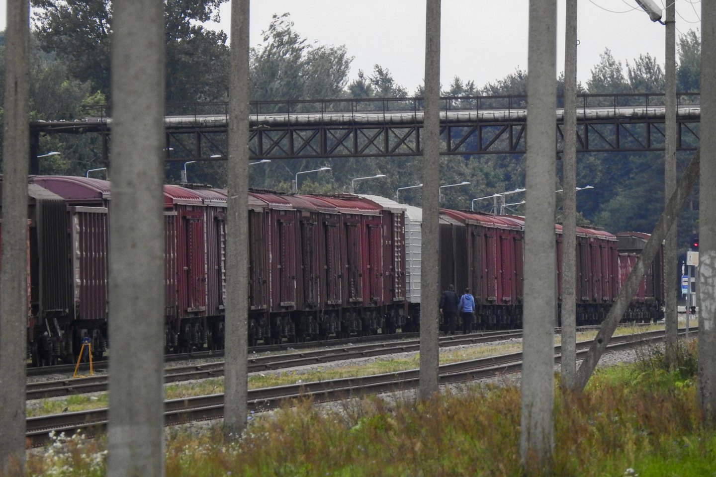 Šiemet tranzitu geležinkeliais tarp Rusijos ir Kaliningrado per Lietuvą leidžiamų pervežti sankcionuotų prekių vidurkiai, remiantis liepą paskelbtomis EK gairėmis, apskaičiuojami pagal 2019–2021 metais geležinkeliais pervežtų prekių vidurkį.<br>V.Ščiavinsko nuotr.