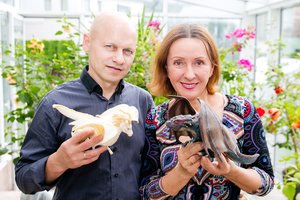 Vaiva Budraitytė ir Gaudentas Naujokas persigalvojo: iš teismo atsiėmė skyrybų prašymą