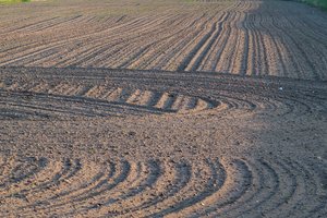 Virš Kauno pakibo nosį riečiantis smarvės debesis: kvapas lyg kas kiaulių fermą būtų pastatęs