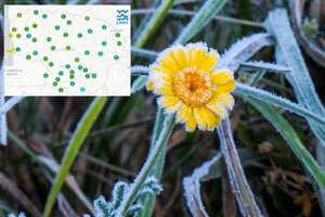 Jau pasirodė pirmosios šalnos: kai kur temperatūra nukrito net iki 3 laipsnių šalčio