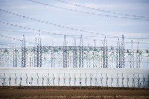 G. Landsbergis abejoja galimybe spausti kitas „Nord Pool“ dalyves keisti biržos veikimo principą