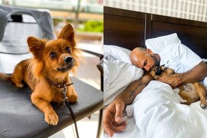 Arturo Swan namuose – naujas šeimos narys: „Namai prisipildė šilumos ir besąlygiškos meilės“