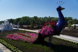 Savaitgalio išvykos Lietuvoje: TOP 6 vietos Palangoje, kurias dar spėsite aplankyti