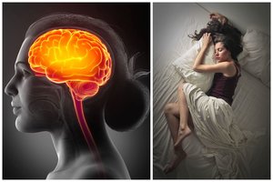 Tyrimas rodo: snaudimas šiuo paros metu stiprina smegenų sveikatą