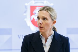 A. Bilotaitė: VSAT vadas asmeniškai įsipareigojo, kad iki metų galo visas Lietuvos pasienis bus padengtas stebėjimo sistemomis