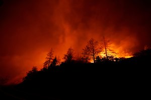 Kalifornijoje sparčiai plintant miško gaisrui tūkstančiams žmonių nurodyta evakuotis