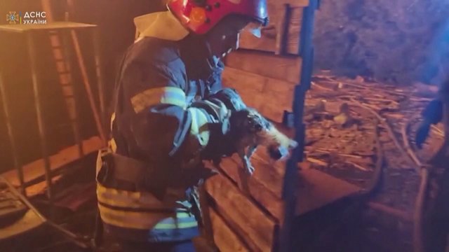 Ukrainiečiai stengiasi dėl kiekvienos gyvybės: užfiksavo, kaip iš degančio pastato gelbėjo mažą kačiuką