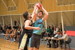 „Wolves“ pratęsė pergalių draugiškose rungtynėse seriją