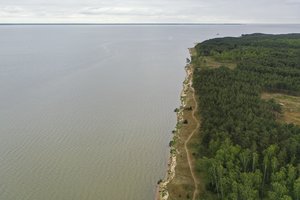 Mokslininkų pavojaus signalas: Kuršių marių vandens būklė per dešimtmetį nepasikeitė