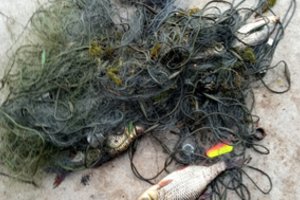 Pažeidėjai nepasimoko: aplinkosaugininkai vėl sučiupo jau baustą tinklininką