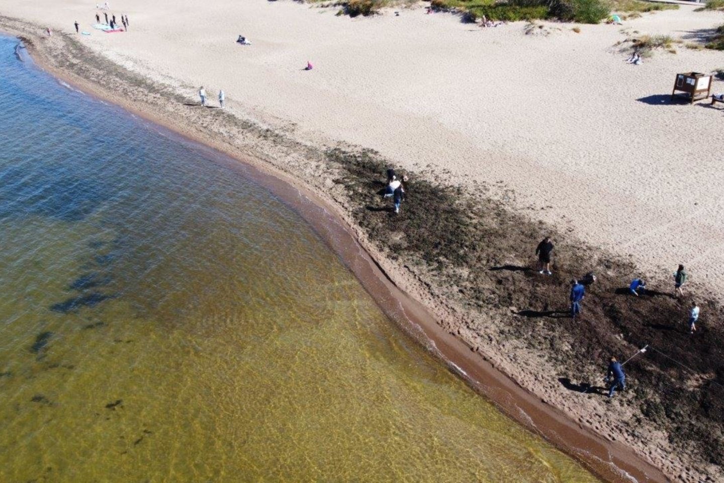 Pirmojo kampanijos renginio metu Melnragėje 100 m paplūdimio atkarpoje buvo rasti 344 vnt. šiukšlių.<br>Pranešimo autorių nuotr. 