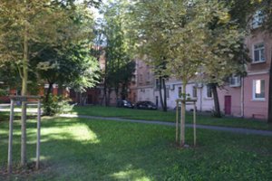 Automobilių statymas šioje gatvėje – išgyvenimo kova: 50-čiai butų skirtos vos dvi vietos mašinoms