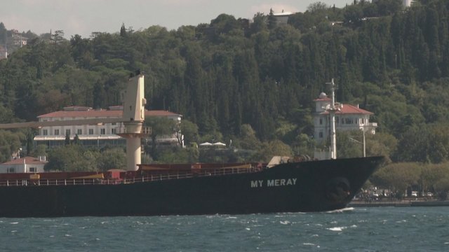 Ukrainietiškus grūdus gabenantis laivas perplaukė per Bosforo sąsiaurį: V. Putinas prašo peržiūrėti sandorį