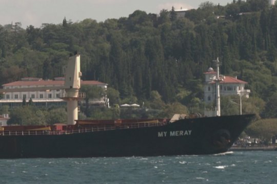 Ukrainietiškus grūdus gabenantis laivas perplaukė per Bosforo sąsiaurį: V. Putinas prašo peržiūrėti sandorį