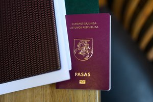 Dalies konservatorių siūlomą bausmę valstybei nelojaliems piliečiams prilygino nacistinės Vokietijos santvarkai