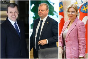 Opozicija skeptiškai vertina Baltijos šalių ketinimus apriboti rusų judėjimą: ragina palaukti Suomijos