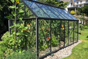 Kaip pasistatyti šiltnamį ir nesusipykti su kaimynais: 3 svarbiausios taisyklės 