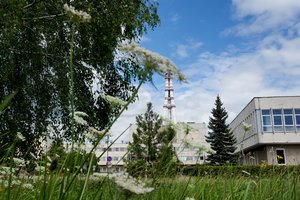 Riejasi dėl elektros kainų naštos mažinimo: siūlo vėl užkurti turimas elektrines, puoselėti energijos taupymo planą