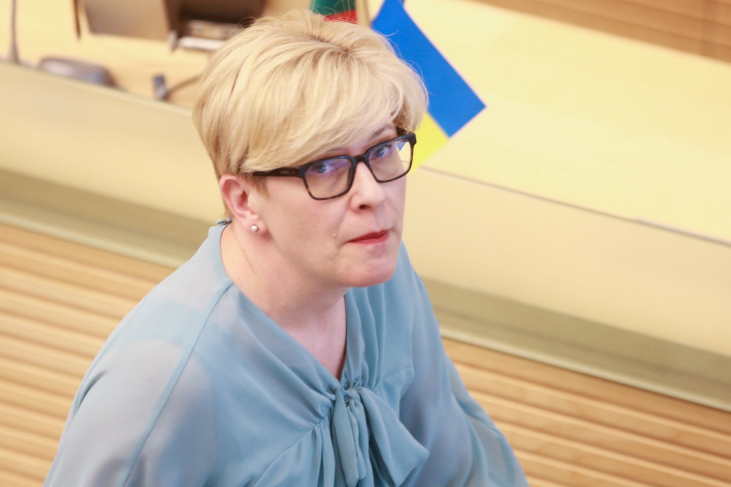 Ingrida Šimonytė.<br>R.Danisevičiaus nuotr.