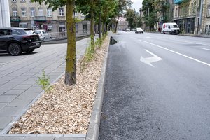 Jei brangiausio šildymo sezono nepakelsite – užteks išeiti į gatvę ir prisirinkti medžio atraižų