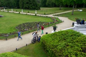 Palangoje pradedama visų želdynų inventorizacija