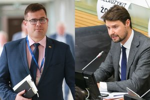 Seimo nariai LFF tiesioginio valdymo įstatymo projektą ketina įregistruoti antradienį: esminis dalykas – demokratiniai rinkimai
